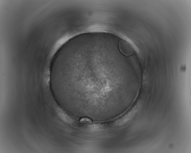 X0000101151461200807110954