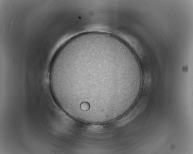 X0000101151462200807110954