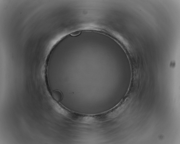 X0000101151463200807110954