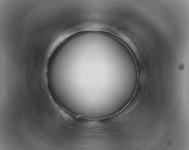 X0000101151464200807110954