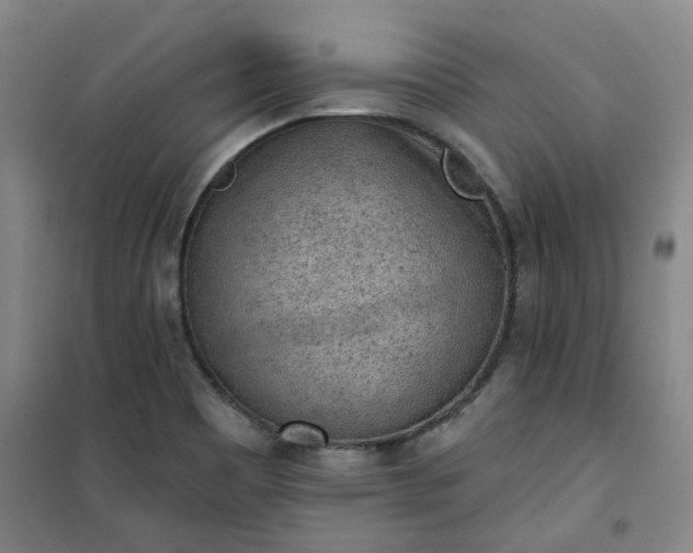 X0000101151465200807110954