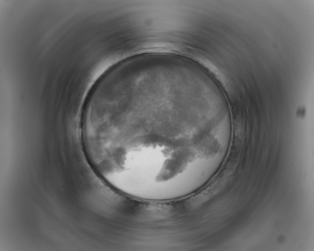 X0000101151466200807110954