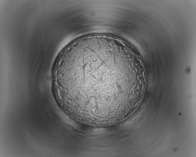 X0000101151467200807110954