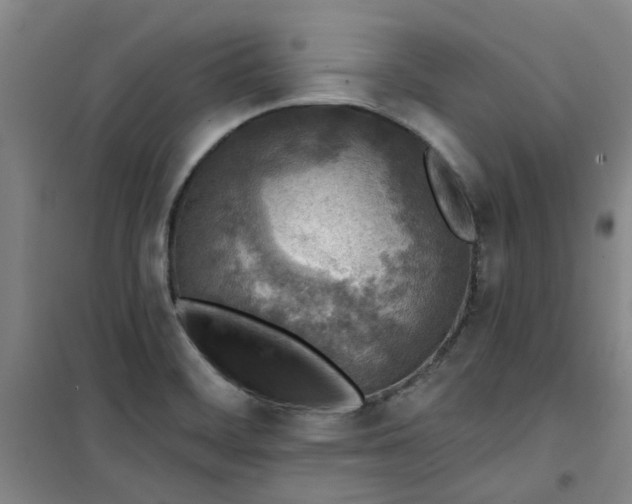 X0000101151468200807110954