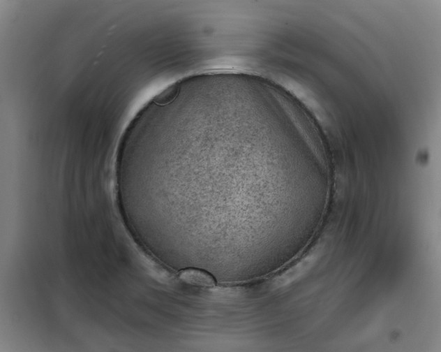 X0000101151469200807110954