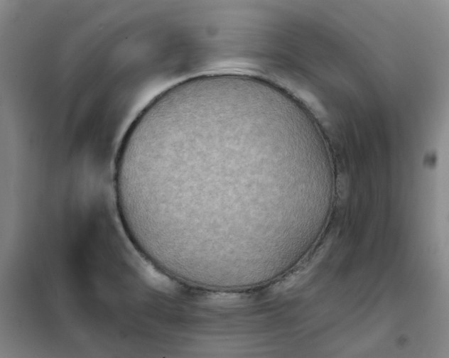 X0000101151470200807110954