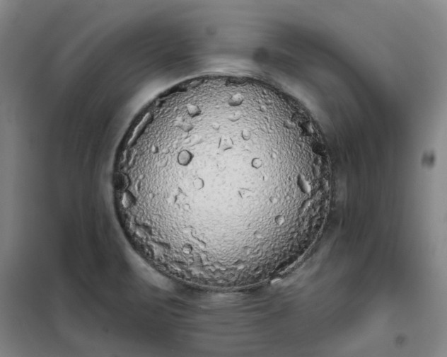 X0000101151471200807110954