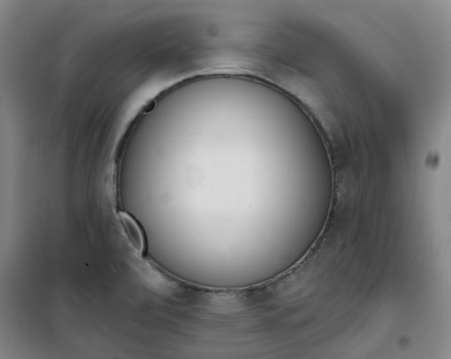 X0000101151472200807110954