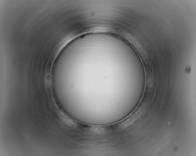 X0000101151473200807110954