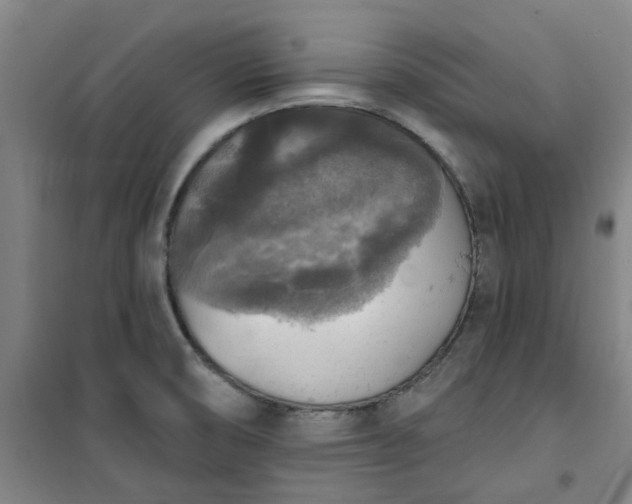 X0000101151474200807110954