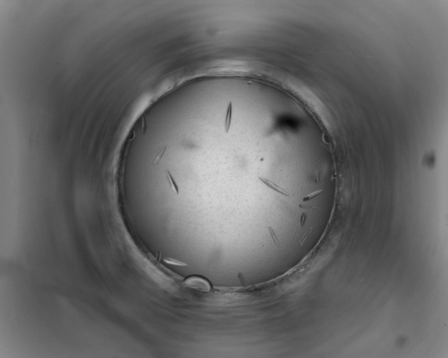 X0000101151475200807110954