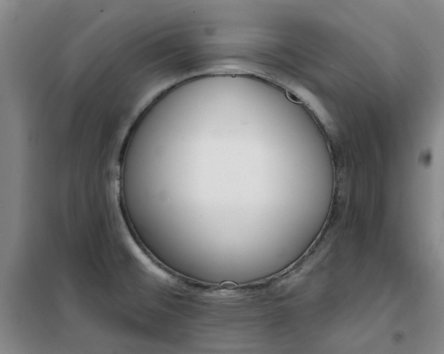 X0000101151476200807110954