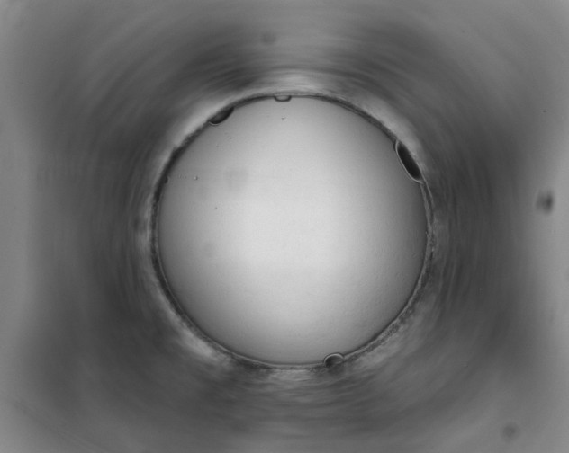 X0000101151477200807110954