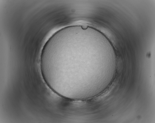 X0000101151478200807110954