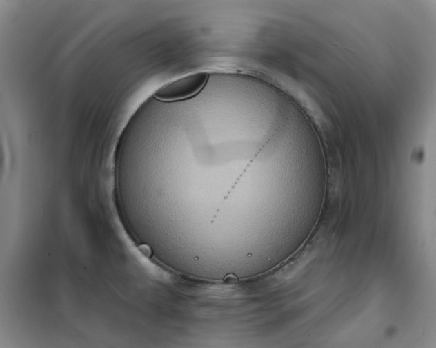 X0000101151479200807110954