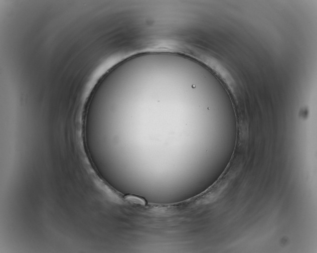 X0000101151480200807110954