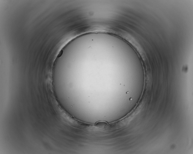 X0000101151481200807110954