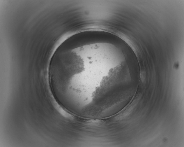 X0000101151482200807110954