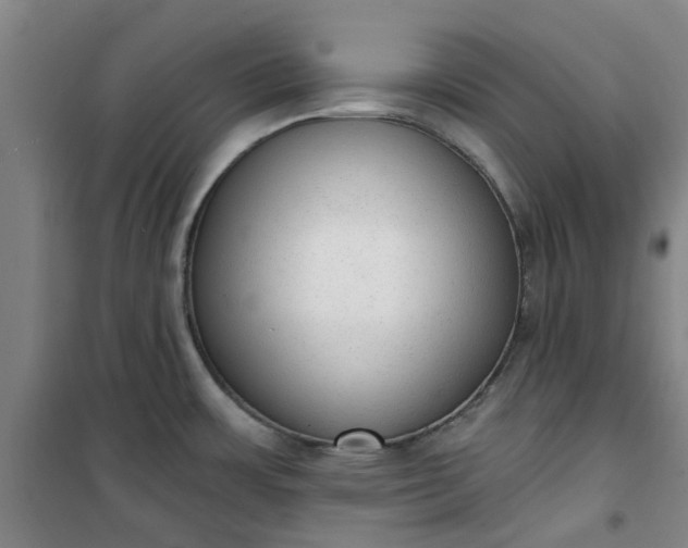 X0000101151483200807110954