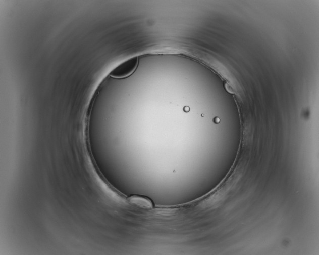 X0000101151484200807110954