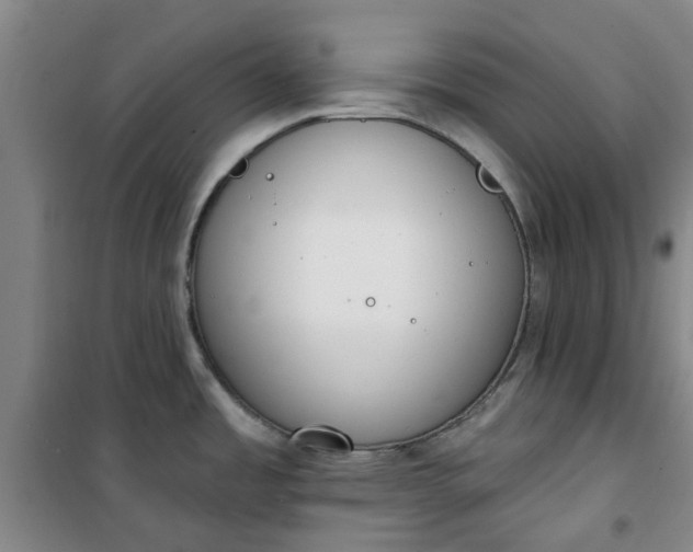 X0000101151485200807110954