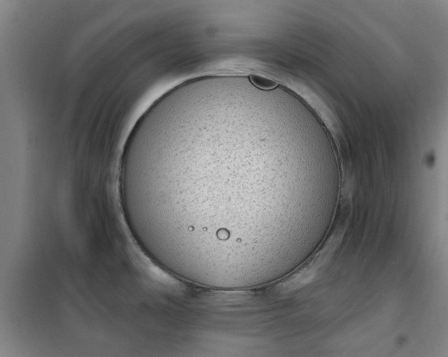 X0000101151486200807110954