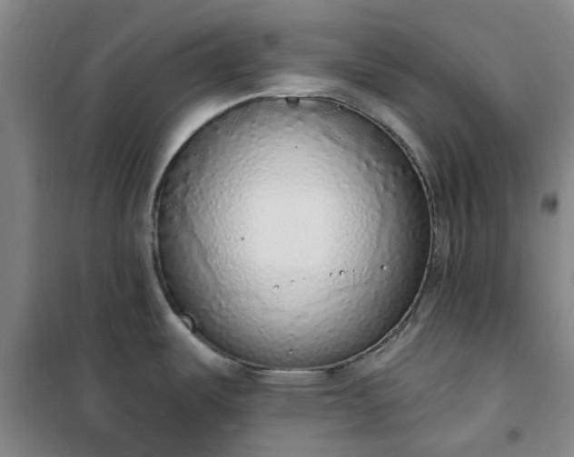 X0000101151487200807110954