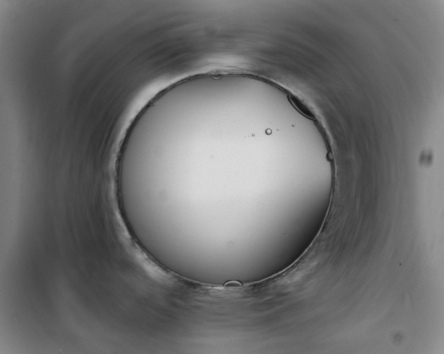 X0000101151488200807110954