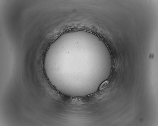 X0000101151489200807110953