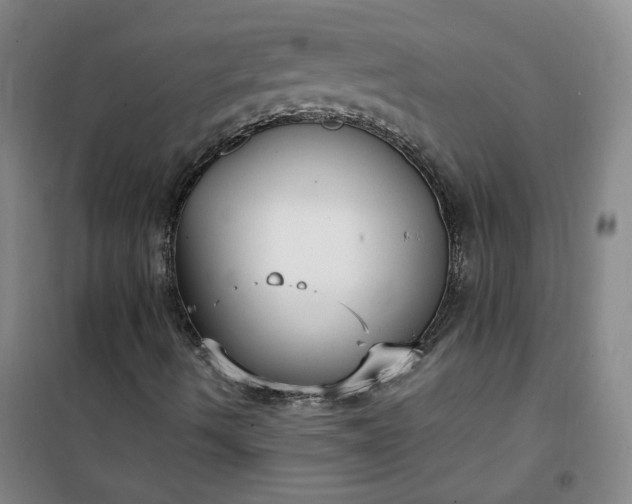 X0000101151490200807110953