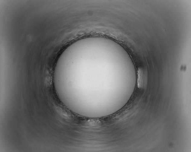 X0000101151491200807110953