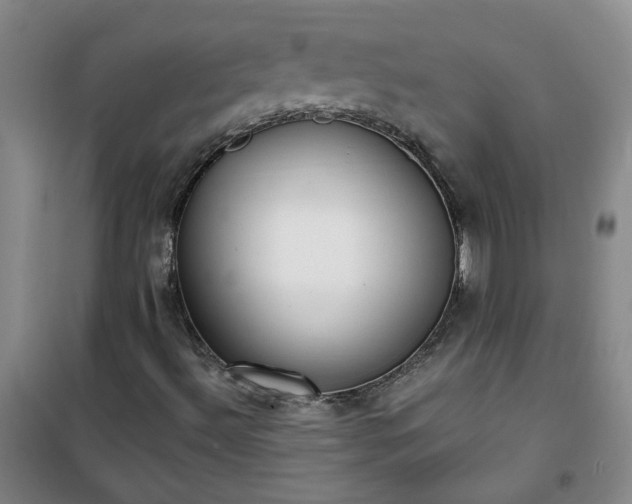 X0000101151492200807110953