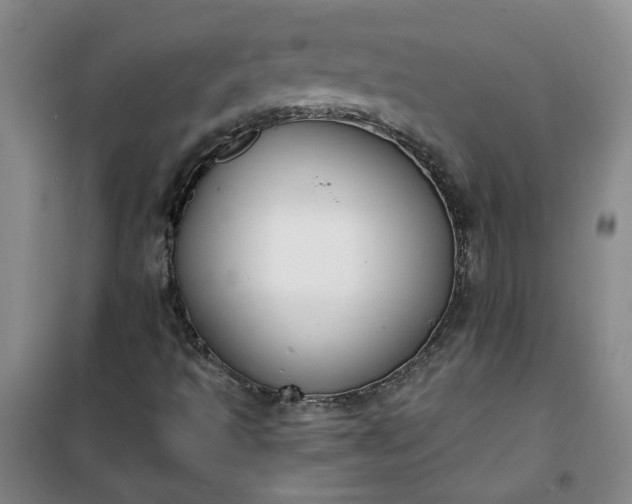 X0000101151493200807110953