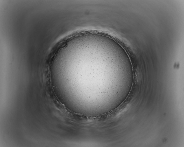 X0000101151494200807110953