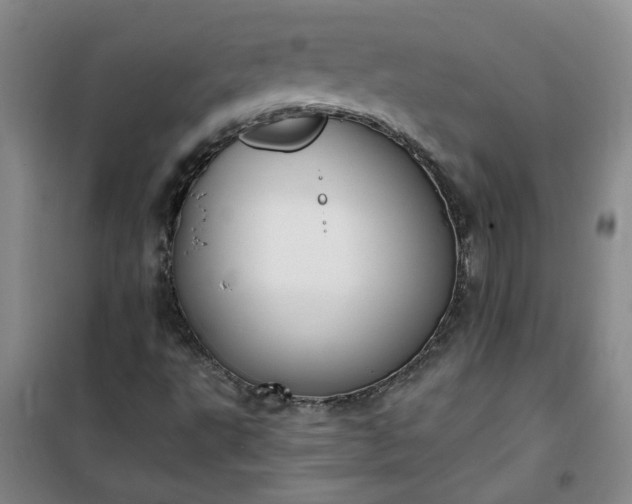 X0000101151495200807110953