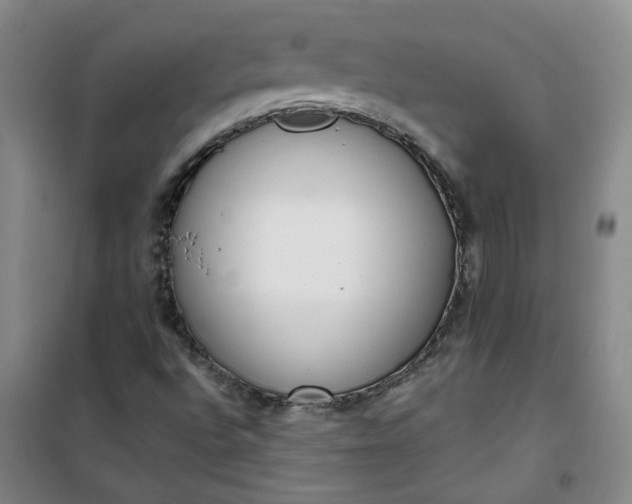 X0000101151496200807110953