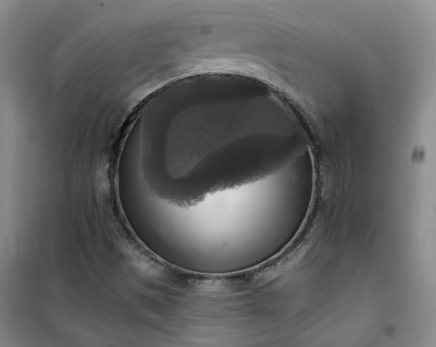 X0000101151497200807110953