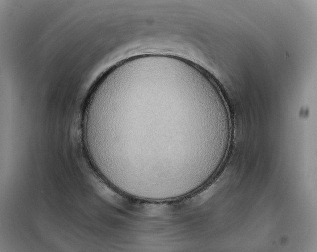 X0000101151498200807110954