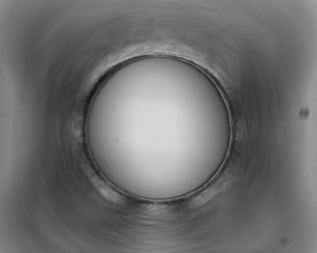 X0000101151499200807110954