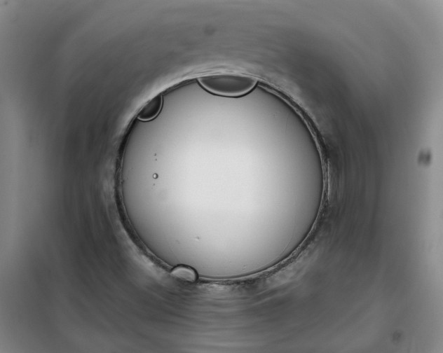 X0000101151500200807110954