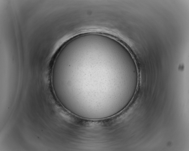 X0000101151501200807110954