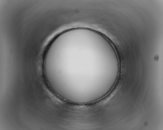 X0000101151502200807110954