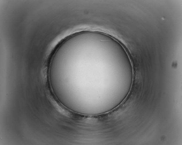 X0000101151503200807110954