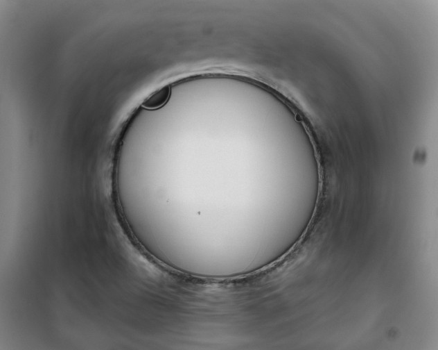 X0000101151504200807110954