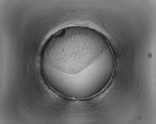 X0000101151506200807110954