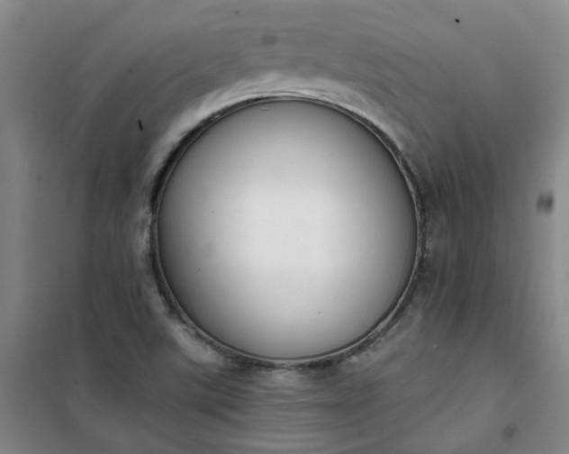 X0000101151507200807110954