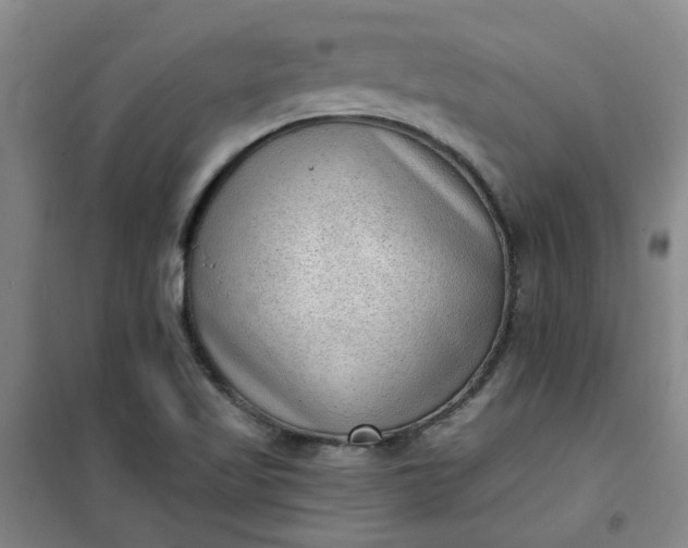 X0000101151509200807110954