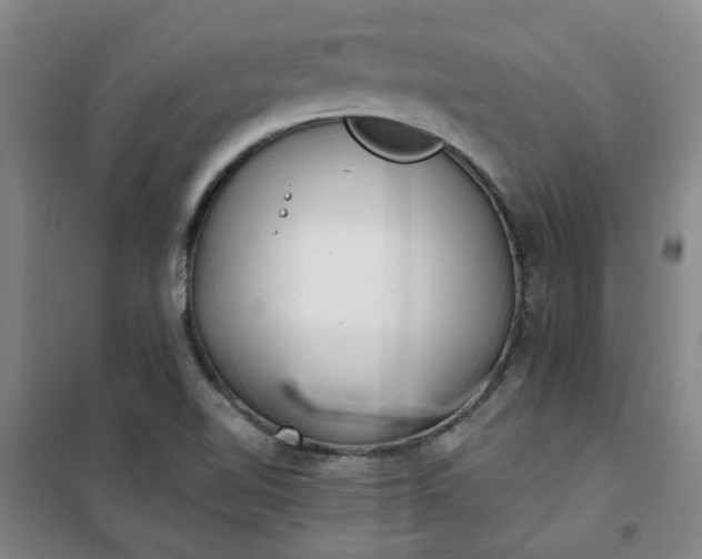 X0000101151510200807110954