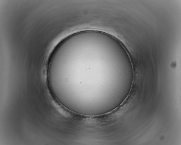 X0000101151511200807110954