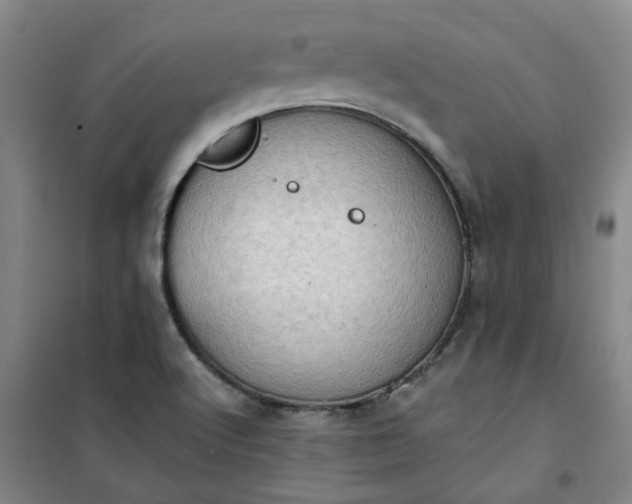 X0000101151512200807110954